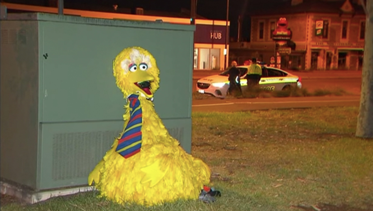 Two Men Who Stole Big Bird Costume From Circus Could Face 10 Years