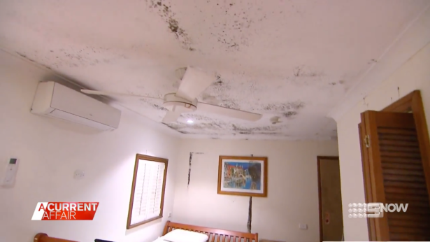 A mouldy and broken ceiling at Manly Boutique Hotel