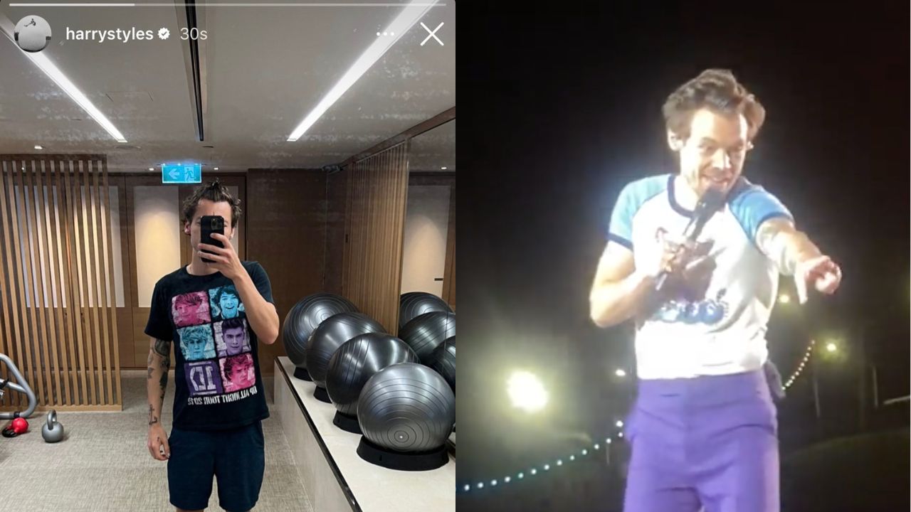 Harry Styles Mirror Selfie T-shirt