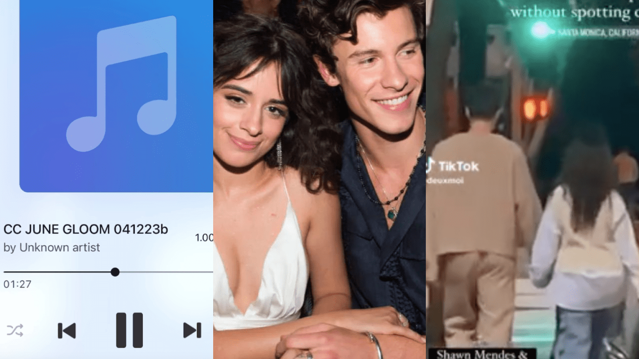 Camila Cabello Shows Off Strong Abs In Knit Bra Top In An IG Pic