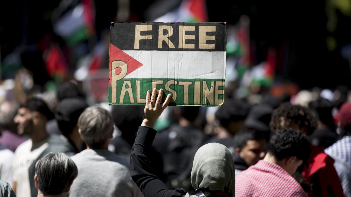 Protesters Plan To Sit-In At Labor MPs Offices Who Voted No To Recognise Palestine As A State